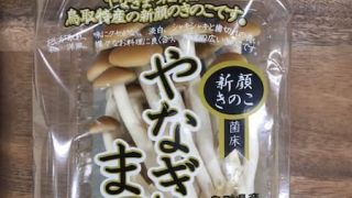 やなぎまつたけ 鳥取産 | 株式会社 新紙浅